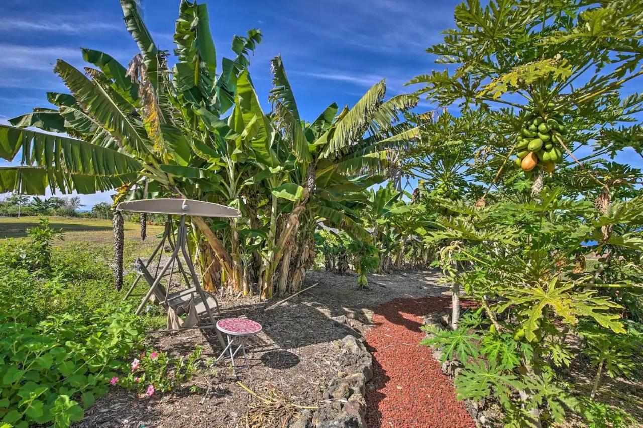 Tranquility Guest House Holualoa Екстер'єр фото